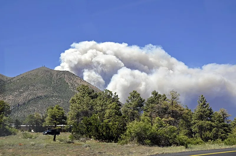 Sunset Trailhead, Coconino