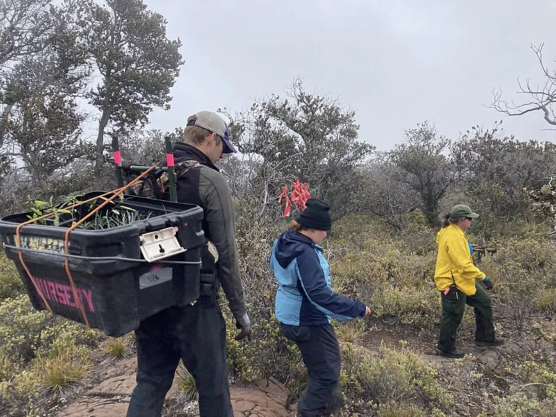 Ainapo Trail, Hawaiʻi Volcanoes NP
