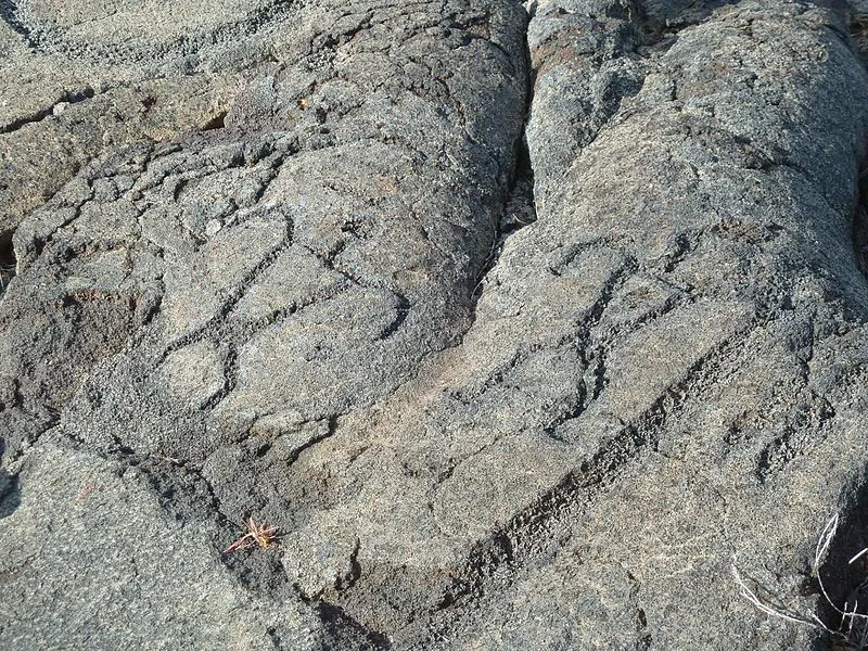 Stop 4- Puʻuloa Petroglyphs, Hawaiʻi Volcanoes NP