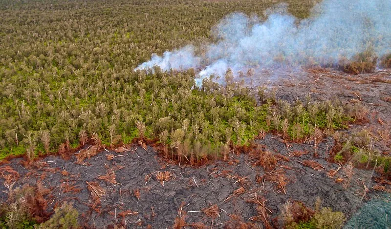 Maunaiki Trail, Hawaiʻi Volcanoes NP