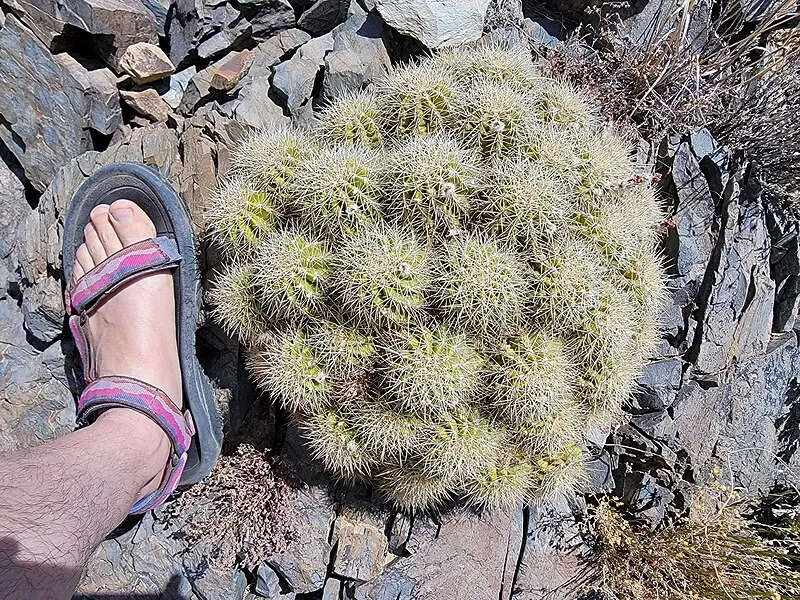 Crystal Springs Trail, Yavapai