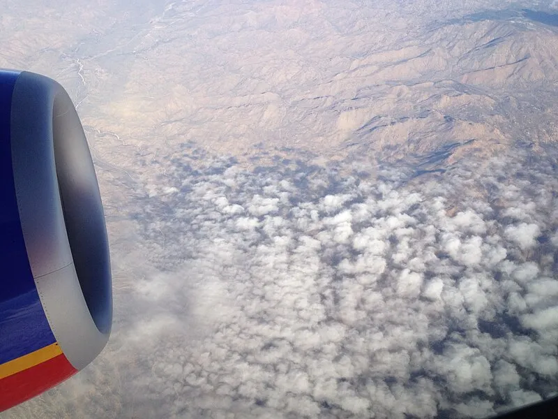 Frog Trail, Maricopa