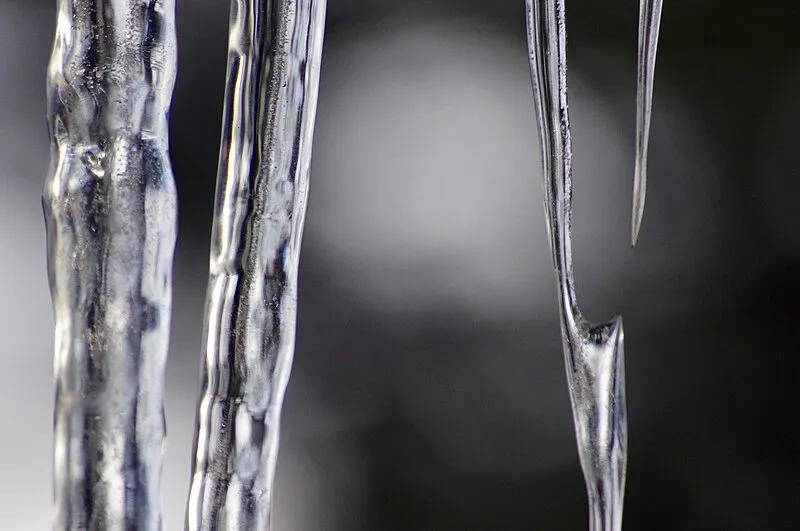 Janice Trailhead, Coconino