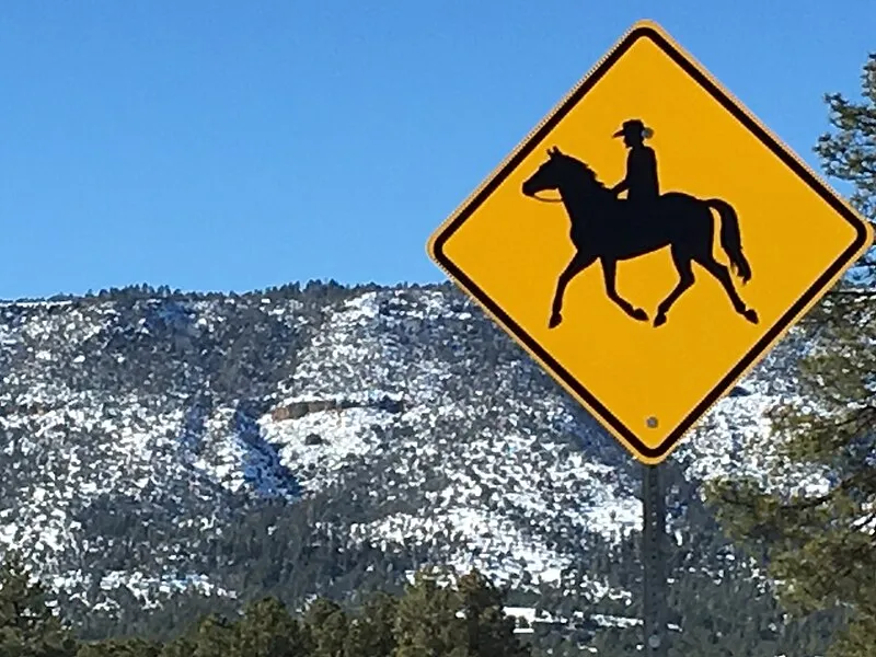 Pine Th Trailhead, Gila
