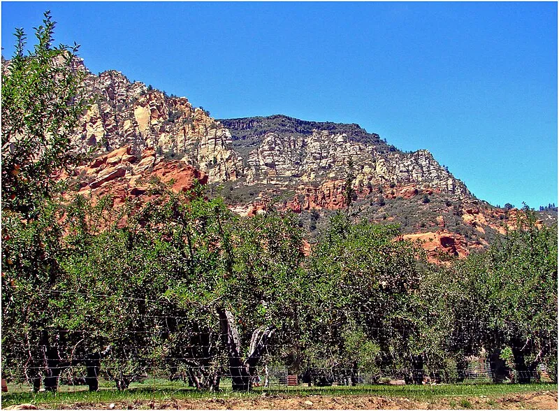 Rock Rut Trail, Coconino