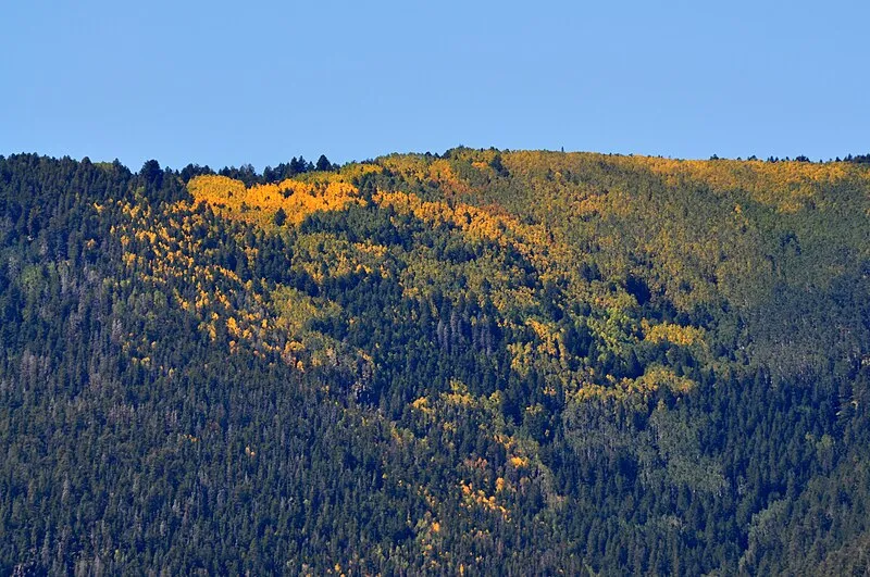 Sandy Seep Trailhead, Coconino