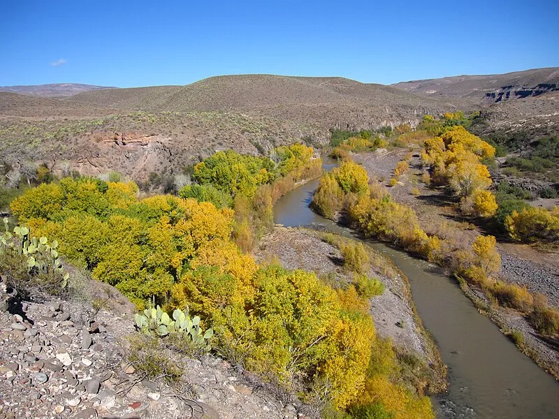 Gila Box Riparian National Conservation Area, Graham