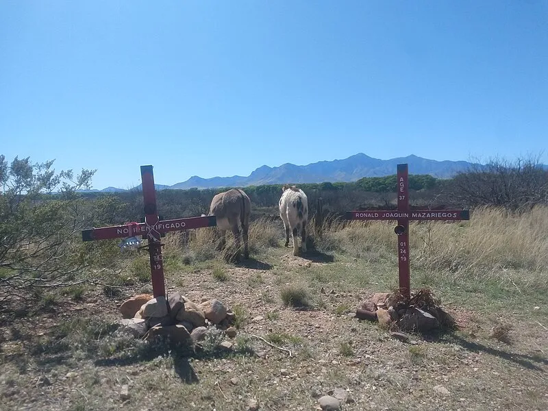 San Pedro Riparian National Conservation Area, Cochise