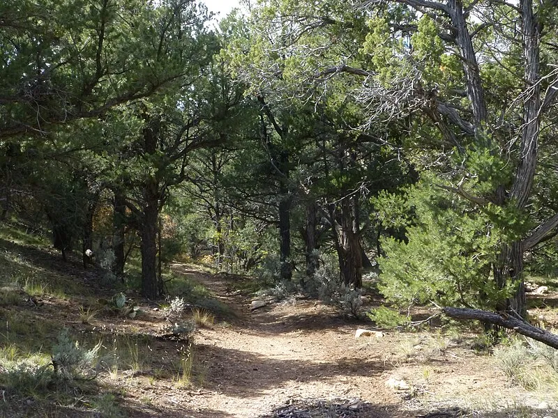Trailhead (NW, 15mi), Coconino