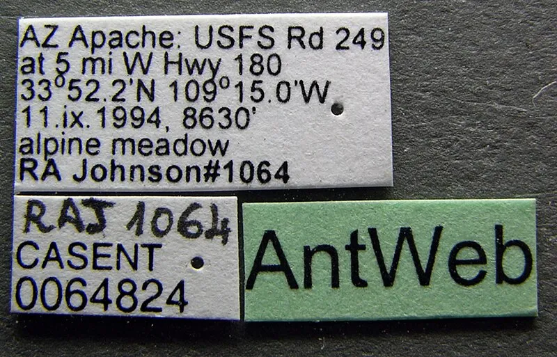 Williams Valley Bike Th Trailhead, Apache