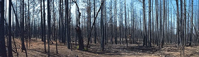 Victorine Crossing Trail, Coconino
