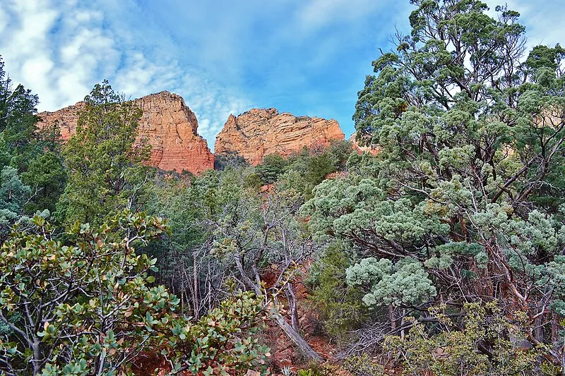 Wilson Mountain Spur B Trail, Coconino
