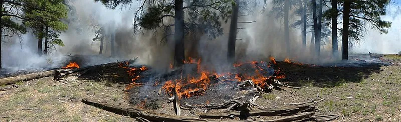Ten-x Amphitheater, Grand Canyon National Park