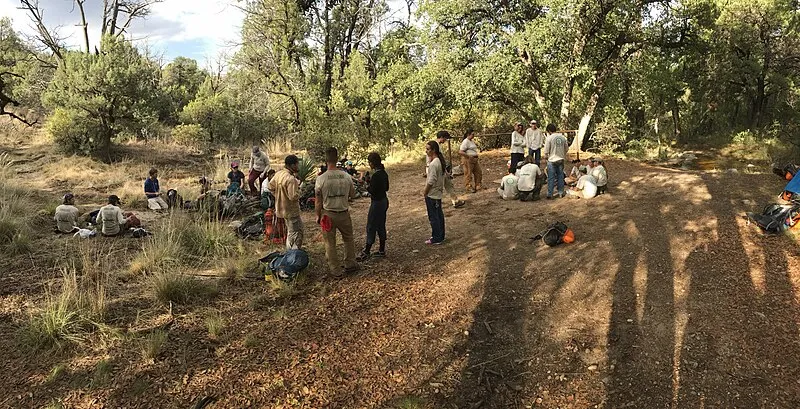 Saguaro National Park Wilderness Permits Campground, Pima