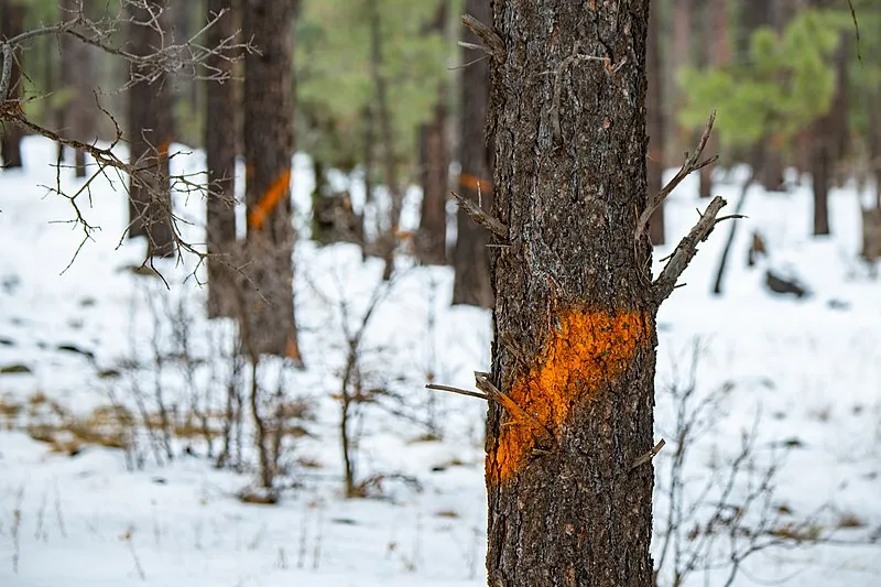 Ice Cave Trailhead, Navajo