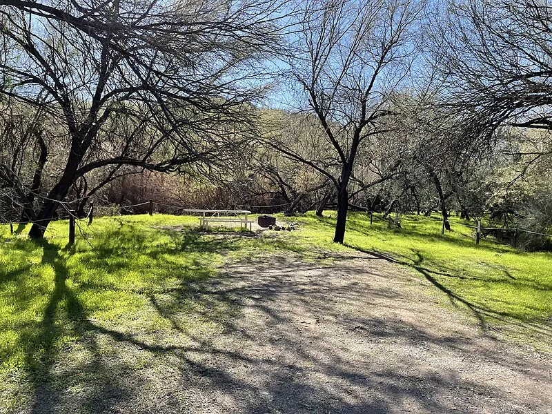 Shores Recreation Site, Gila