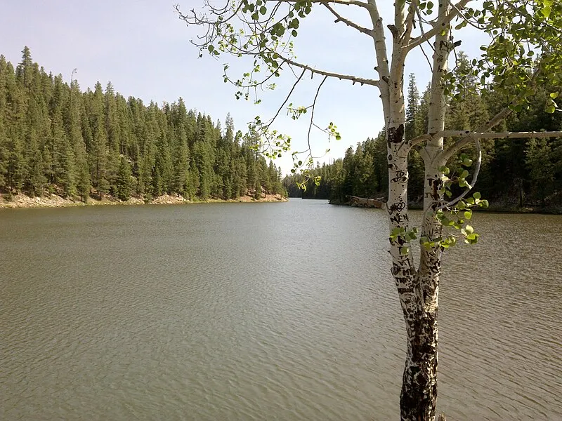 Merganser Trailhead (W, 0mi), Coconino