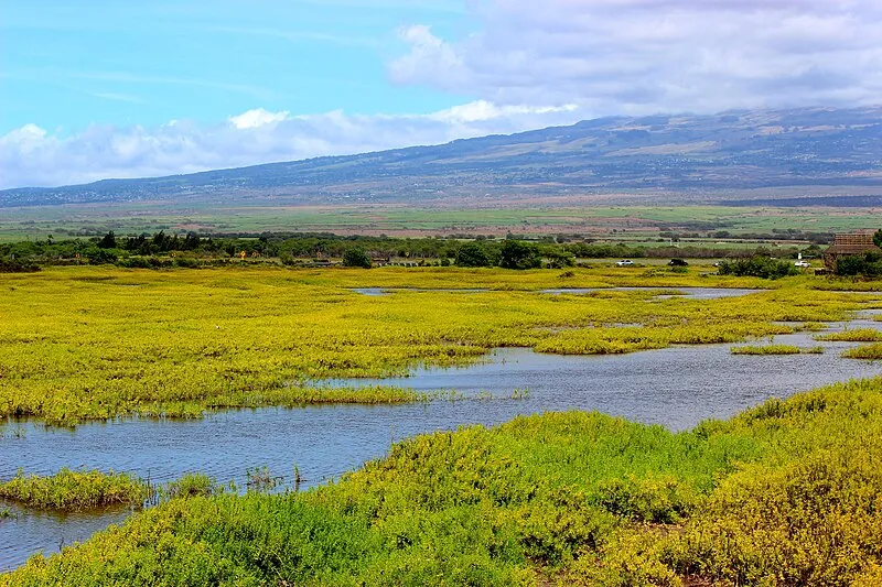 Kealia Pond National Wildlife Refuge, Maui