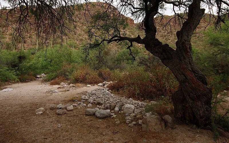 Upper Sabino Canyon Picnic Sites, Saguaro National Park