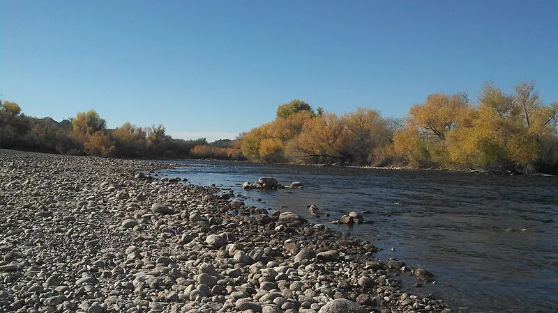 Raccoon Bluff, Maricopa