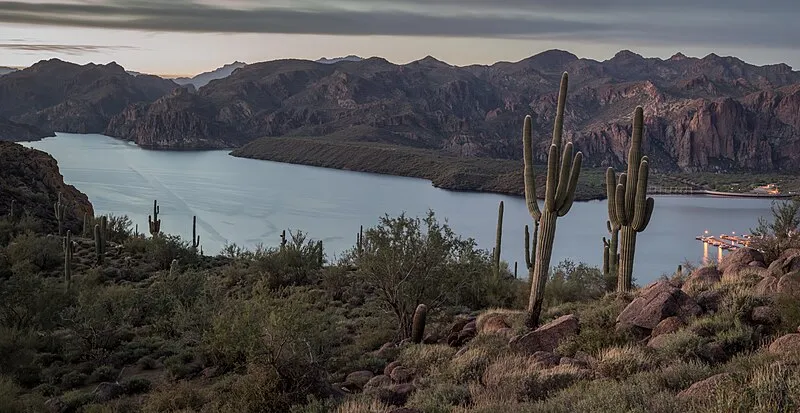 Saguaro Del Norte Picnic, Maricopa