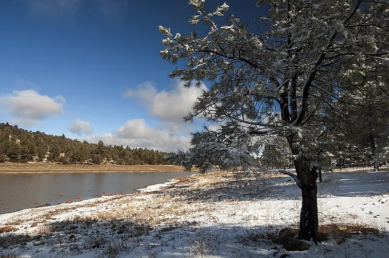 Kaibab Lake Amphitheater, Coconino