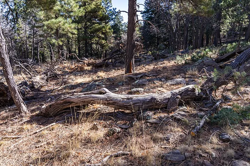 Dairy Springs Amphitheater, Coconino