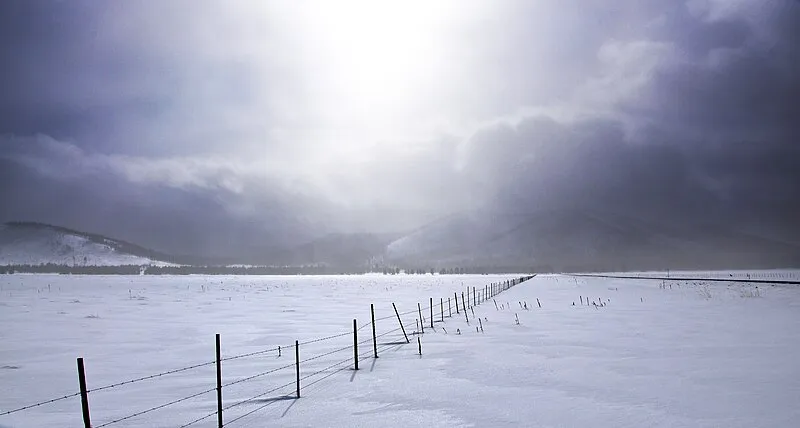Kendrick Park, Coconino