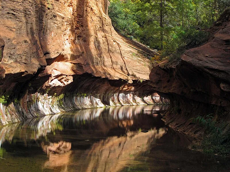 Call of the Canyon, Coconino