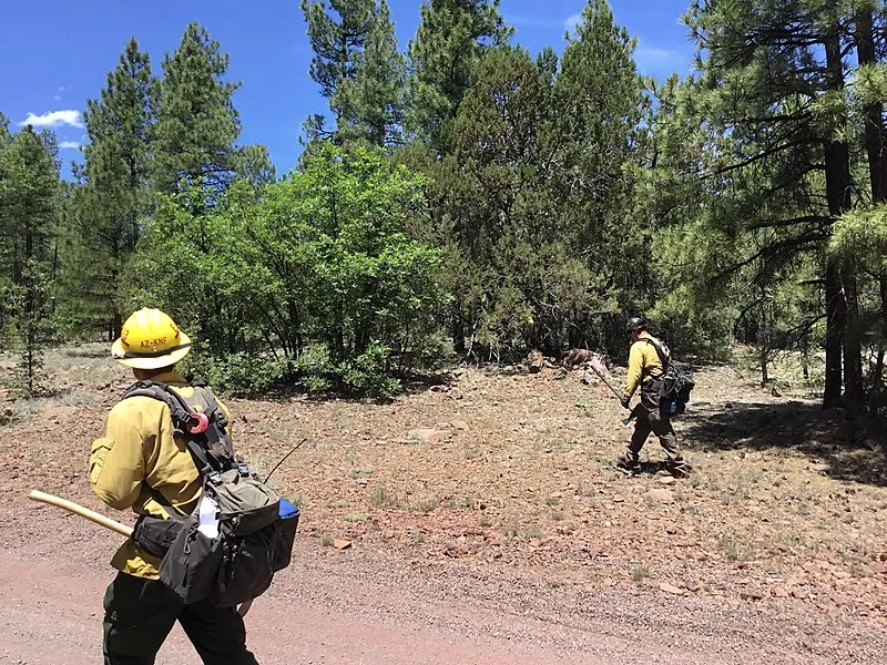 Sycamore Point Mtn Bike Th, Coconino