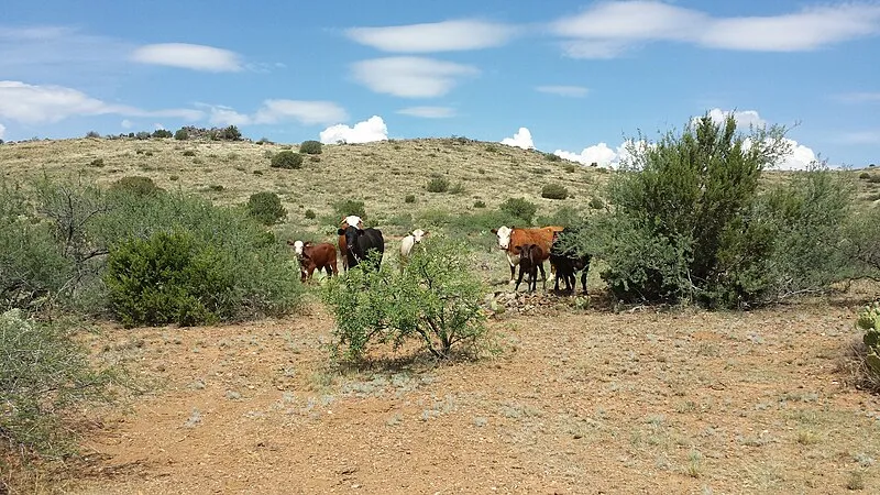 Big Bug Trailhead Restroom, Yavapai