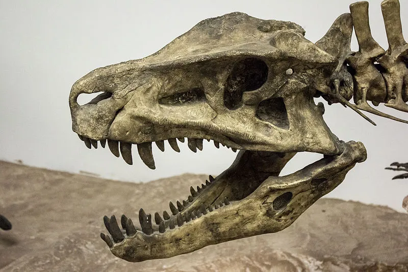 Picnic Area (S, 10mi), Petrified Forest National Park