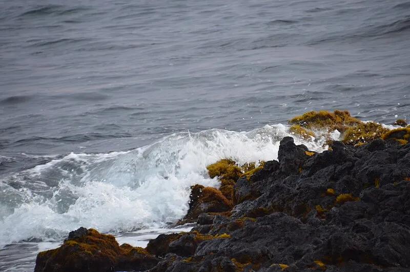 Picnic Area (W, 26mi), Hawaii