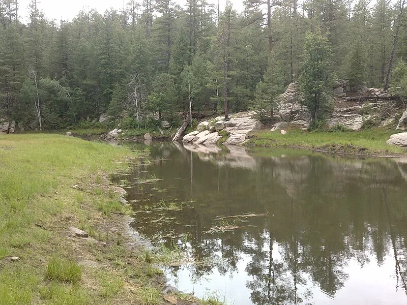 Knoll Lake, Coconino
