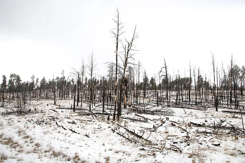 Crescent Lake Dam Area, Apache