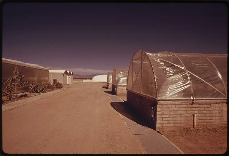 Coronado National Forest, Pima