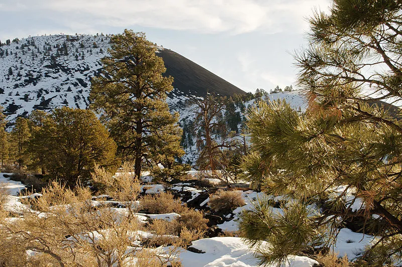 Lava Flow Trail Picnic Area, Sunset Crater Volcano NM