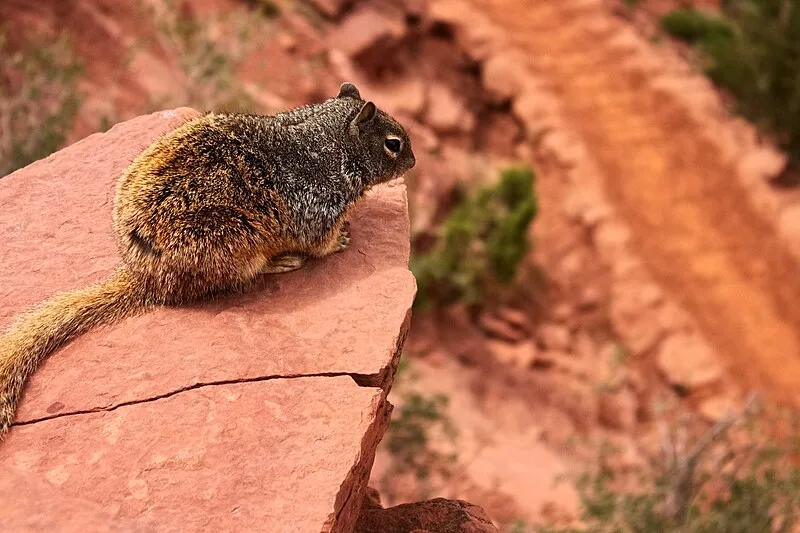 Mile-and-a-half Resthouse, Grand Canyon National Park