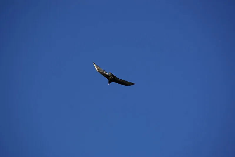 Powell Monument, Grand Canyon National Park