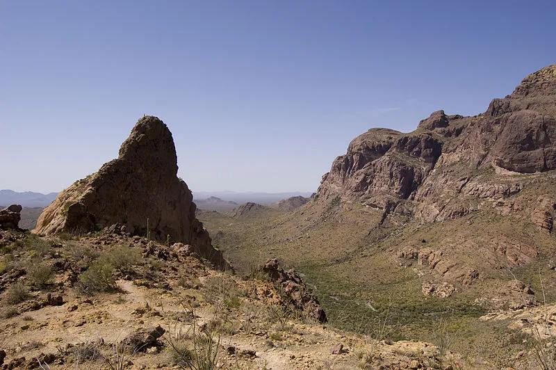 Ajo Mountain Drive Stop 10, Organ Pipe Cactus NM