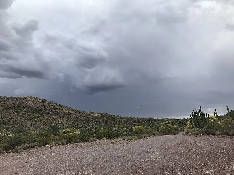 Ajo Mountain Drive Stop 4, Organ Pipe Cactus NM
