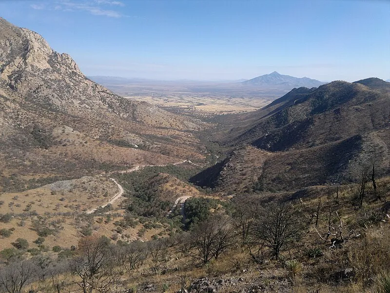 Crest Trail, Coronado National Memorial