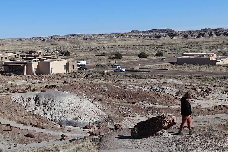 East Old 180, Petrified Forest National Park