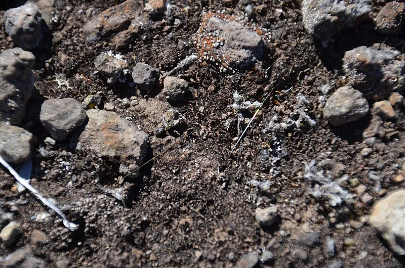 Eruption Viewing Near Welcome Center, Hawaiʻi Volcanoes NP
