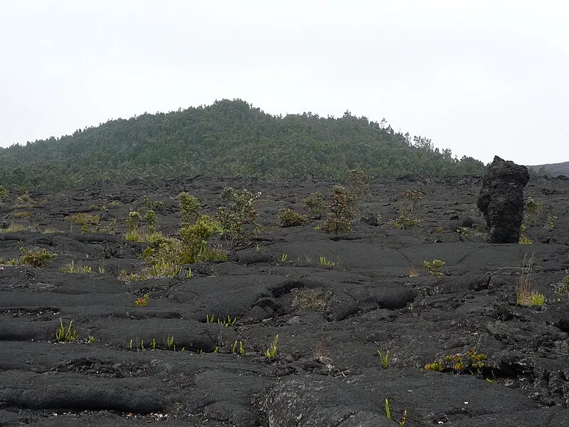 Pauahi Crater, Hawaiʻi Volcanoes NP