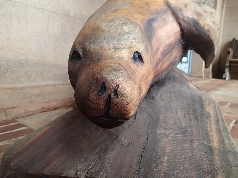 Kaua'i Ocean Discovery, Kauai