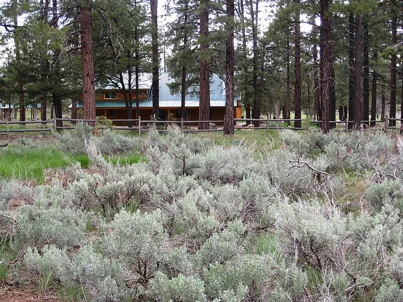 Mount Trumbull Wilderness Area, Mohave