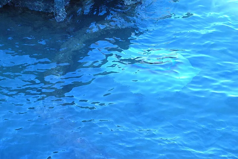 Pearl Harbor National Memorial Tours, Honolulu