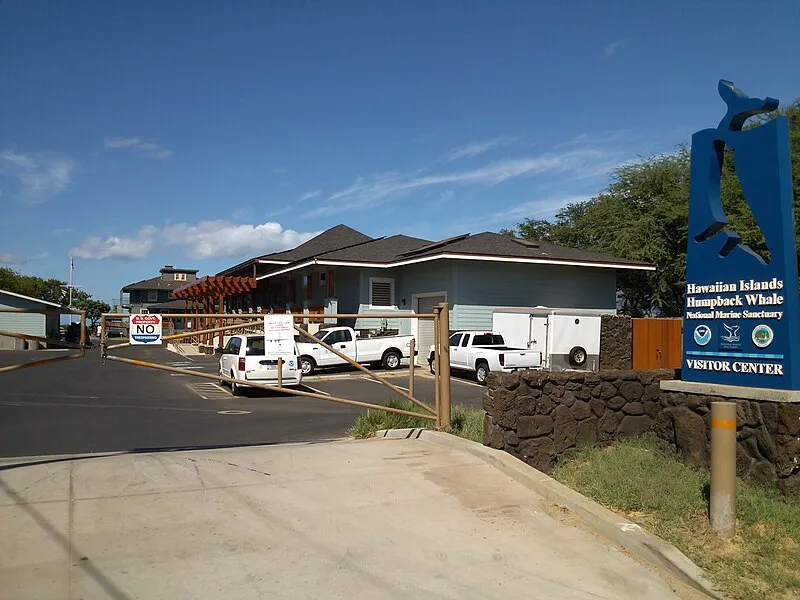 Hawaiian Islands Humpback Whale National Marine Sanctuary, Maui