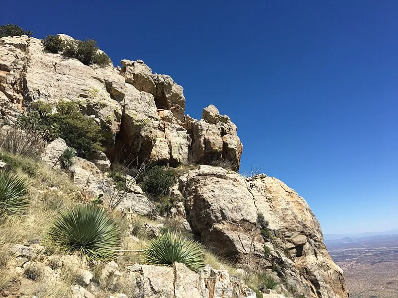 Coyote Mountains Wilderness, Pima